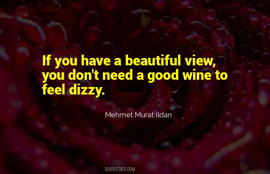 Mehmet Murat Ildan Quotes #249231