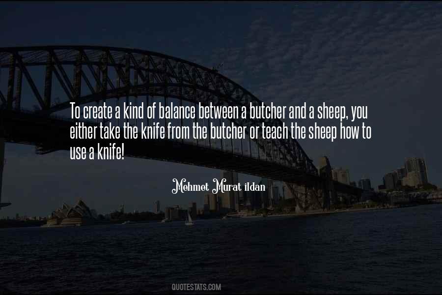 Mehmet Murat Ildan Quotes #497684