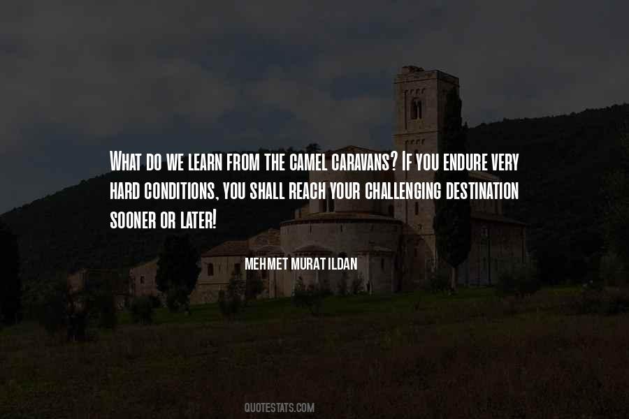 Mehmet Murat Ildan Quotes #637504