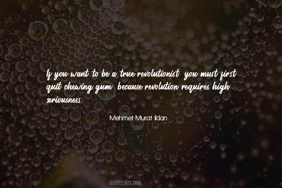 Mehmet Murat Ildan Quotes #7724