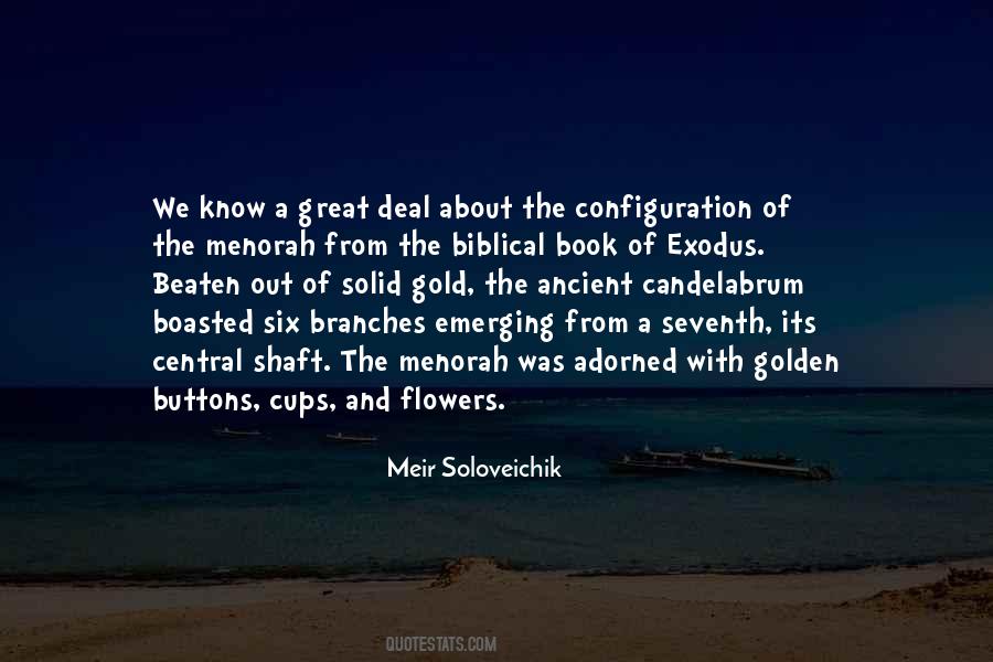Meir Soloveichik Quotes #107527