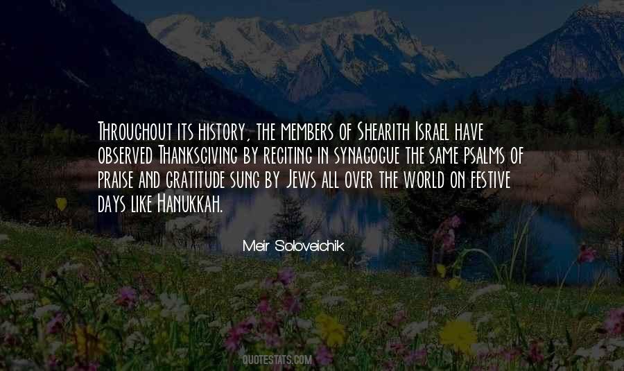 Meir Soloveichik Quotes #252851