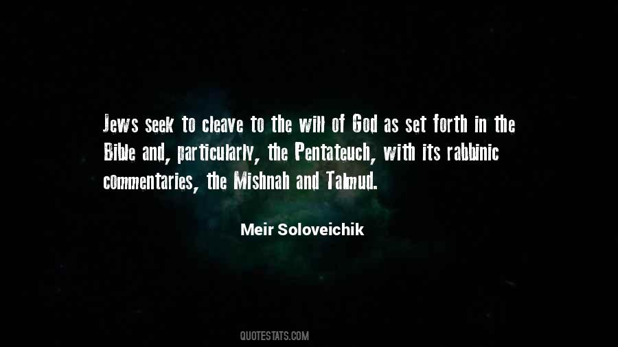 Meir Soloveichik Quotes #467061