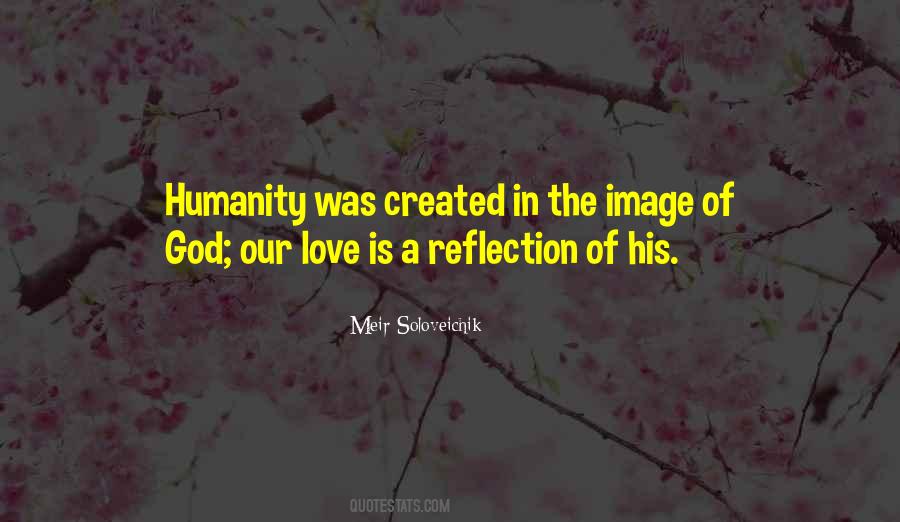 Meir Soloveichik Quotes #938564