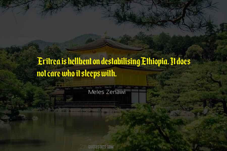 Meles Zenawi Quotes #1266541