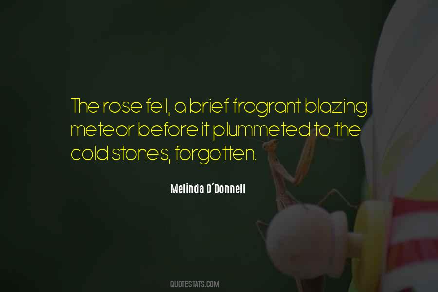 Melinda O'Donnell Quotes #1649290