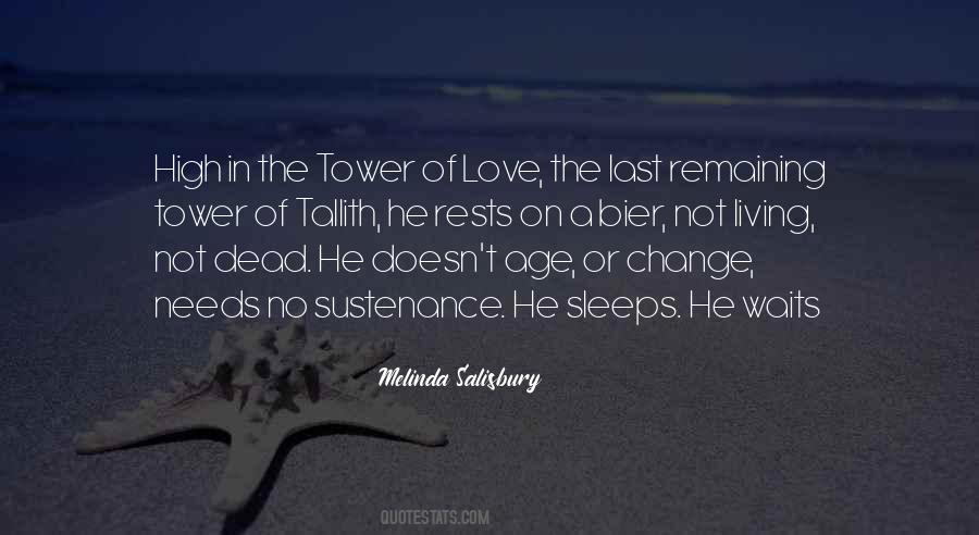 Melinda Salisbury Quotes #1692054