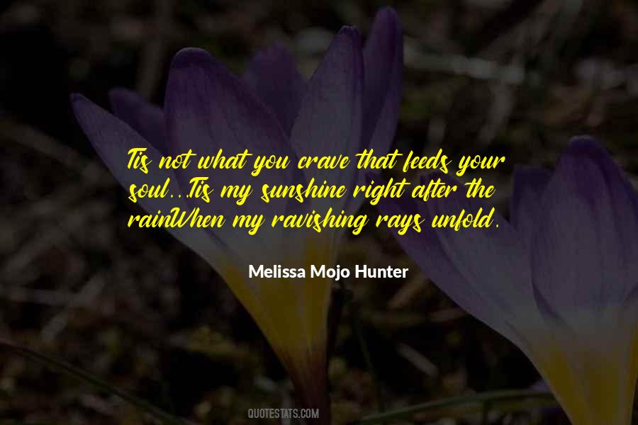 Melissa Mojo Hunter Quotes #16995