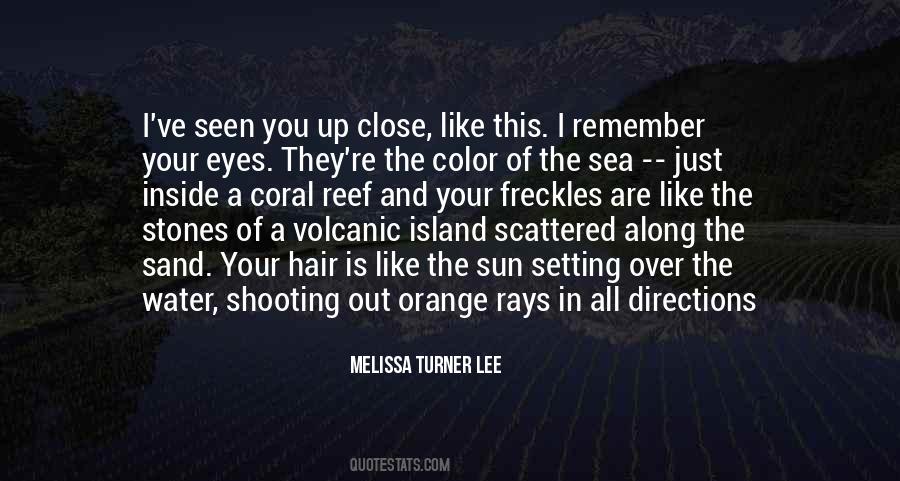 Melissa Turner Lee Quotes #589124