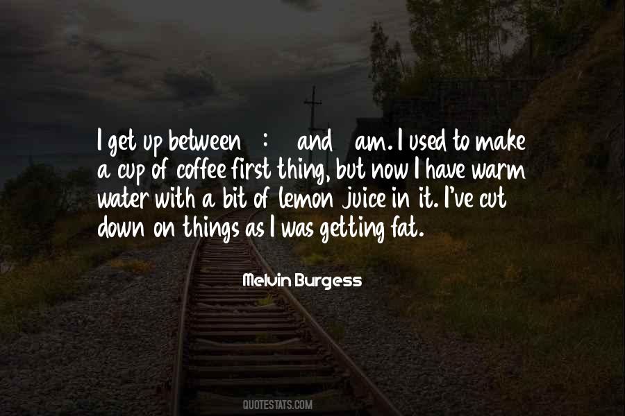 Melvin Burgess Quotes #1762036