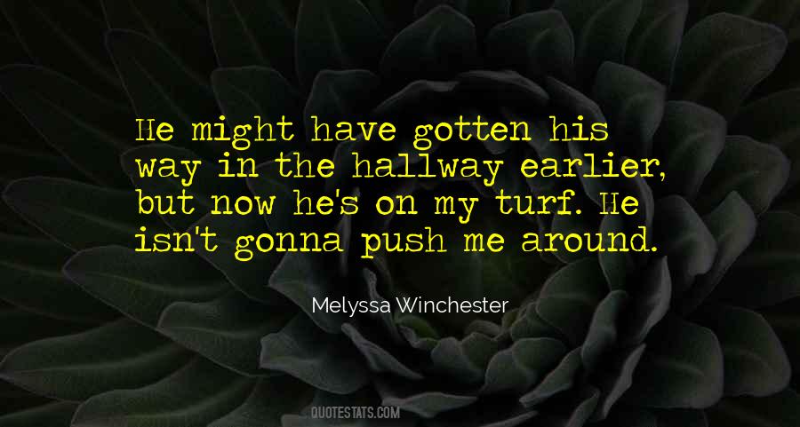 Melyssa Winchester Quotes #454064