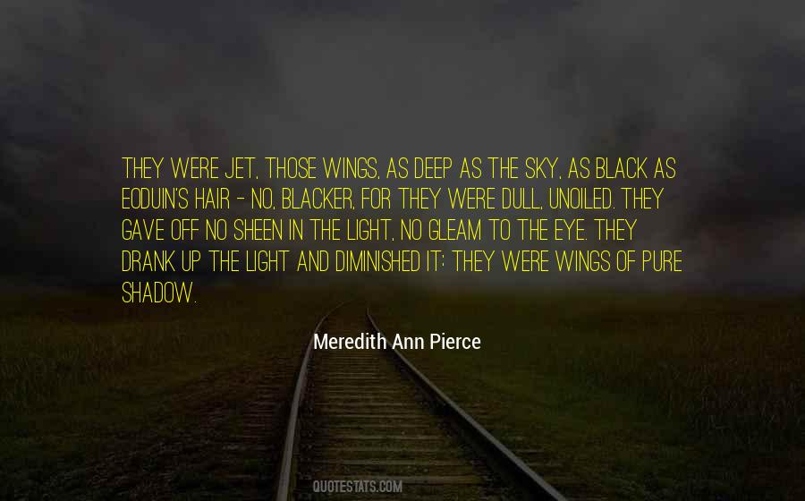 Meredith Ann Pierce Quotes #1109083