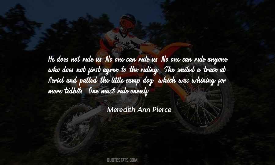 Meredith Ann Pierce Quotes #1372788