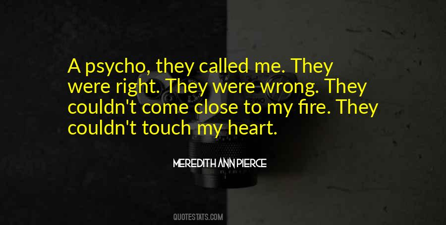 Meredith Ann Pierce Quotes #996221