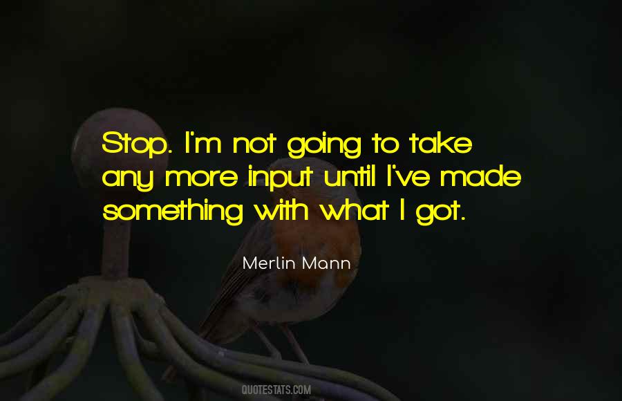 Merlin Mann Quotes #330814