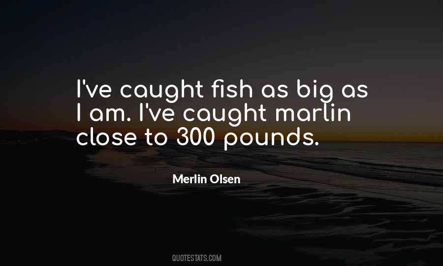 Merlin Olsen Quotes #1185010