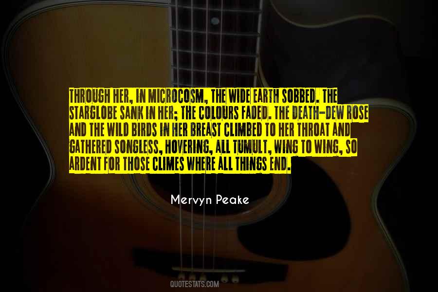 Mervyn Peake Quotes #150841