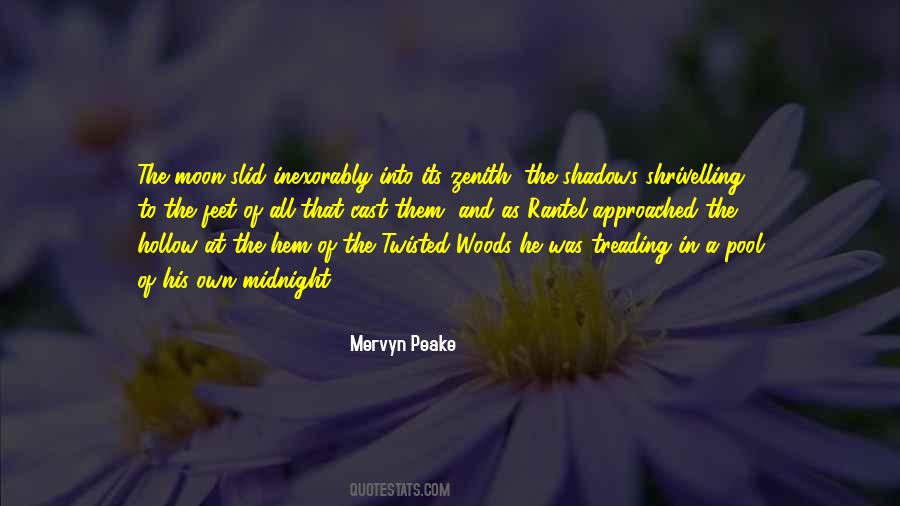 Mervyn Peake Quotes #498511