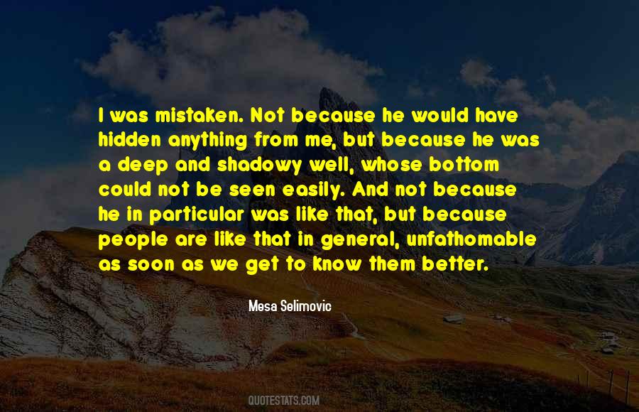 Mesa Selimovic Quotes #416959