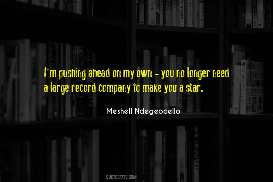 Meshell Ndegeocello Quotes #1708317