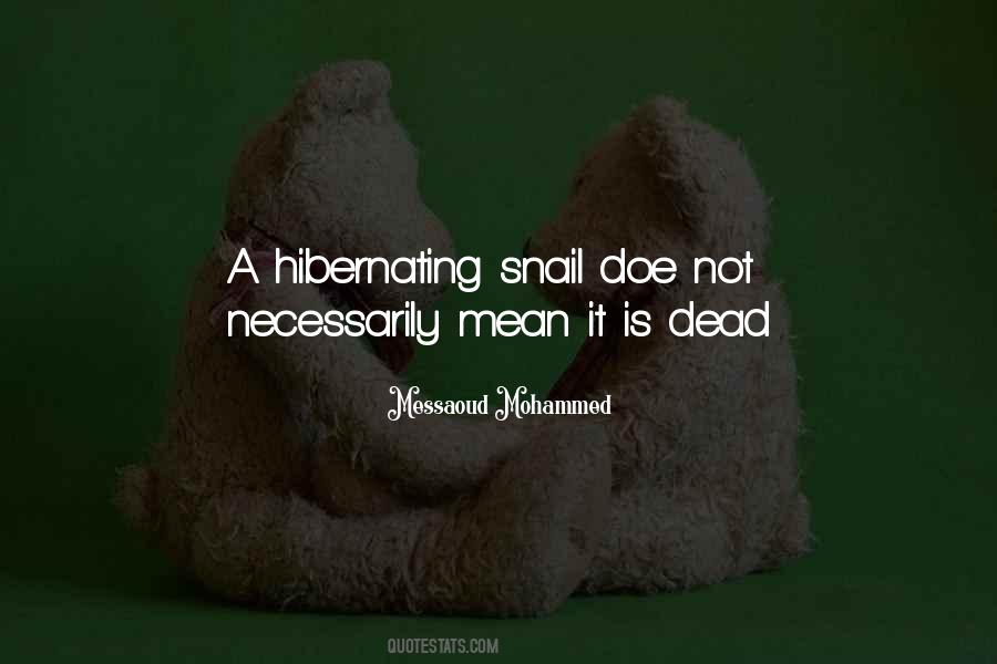 Messaoud Mohammed Quotes #43417
