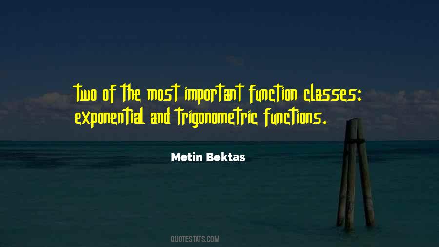 Metin Bektas Quotes #121668