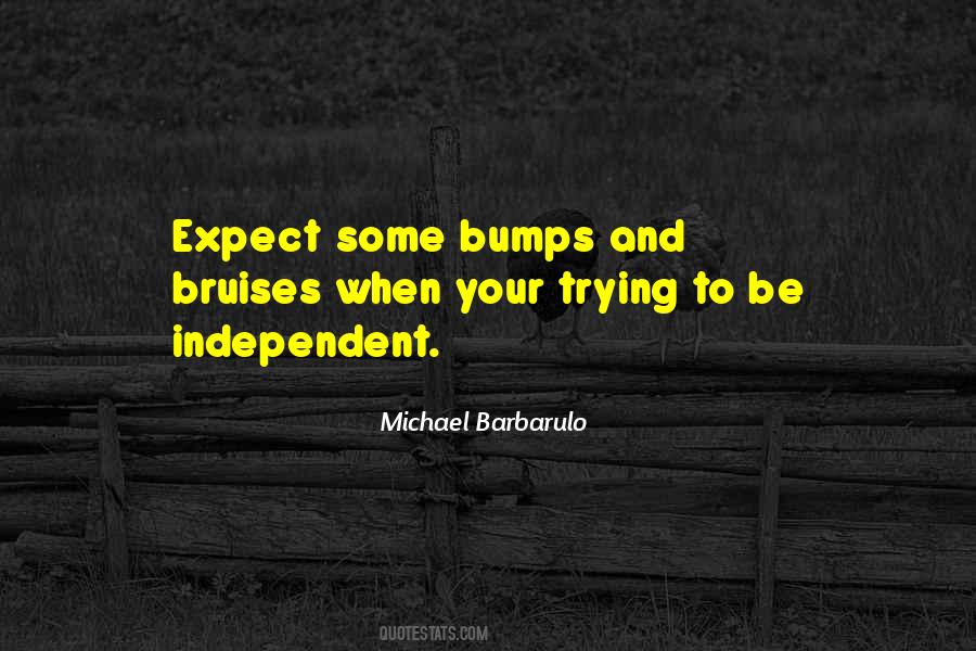 Michael Barbarulo Quotes #1874984