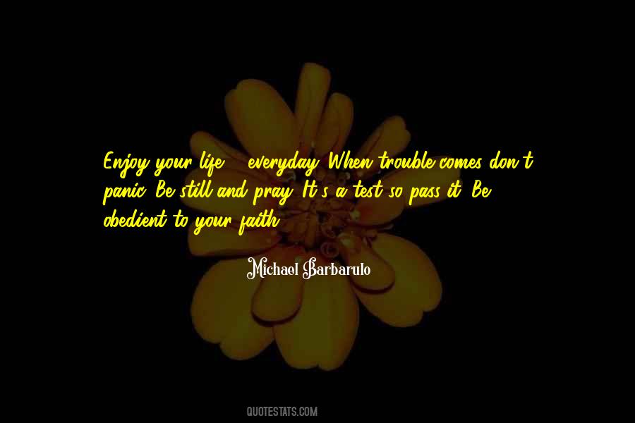 Michael Barbarulo Quotes #86004