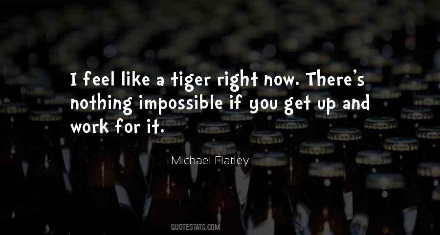 Michael Flatley Quotes #1500052