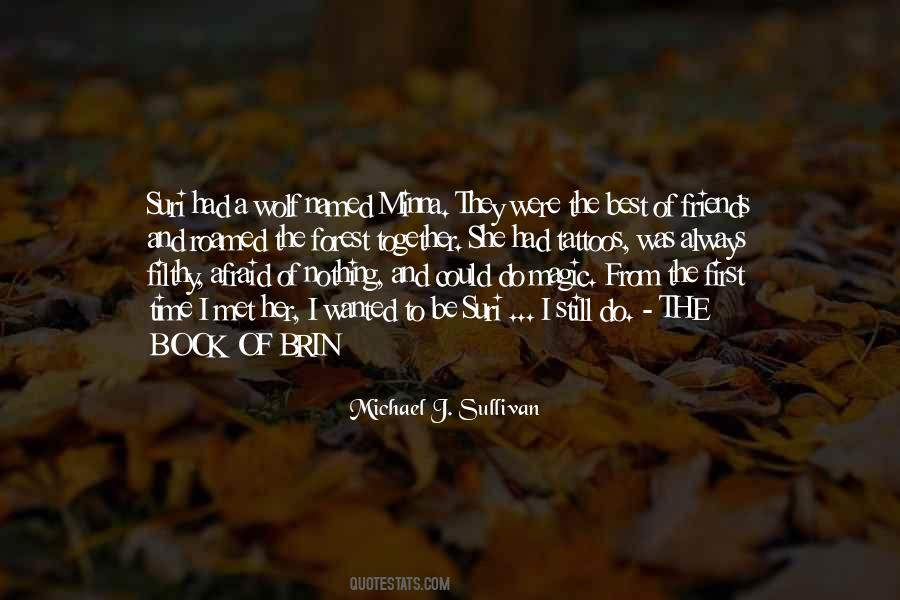 Michael J. Sullivan Quotes #313152