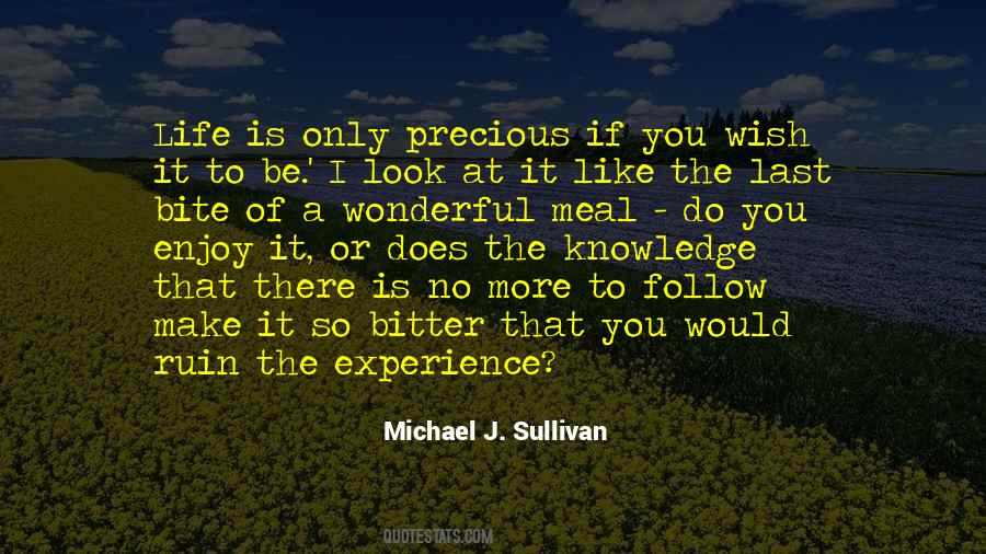 Michael J. Sullivan Quotes #400031