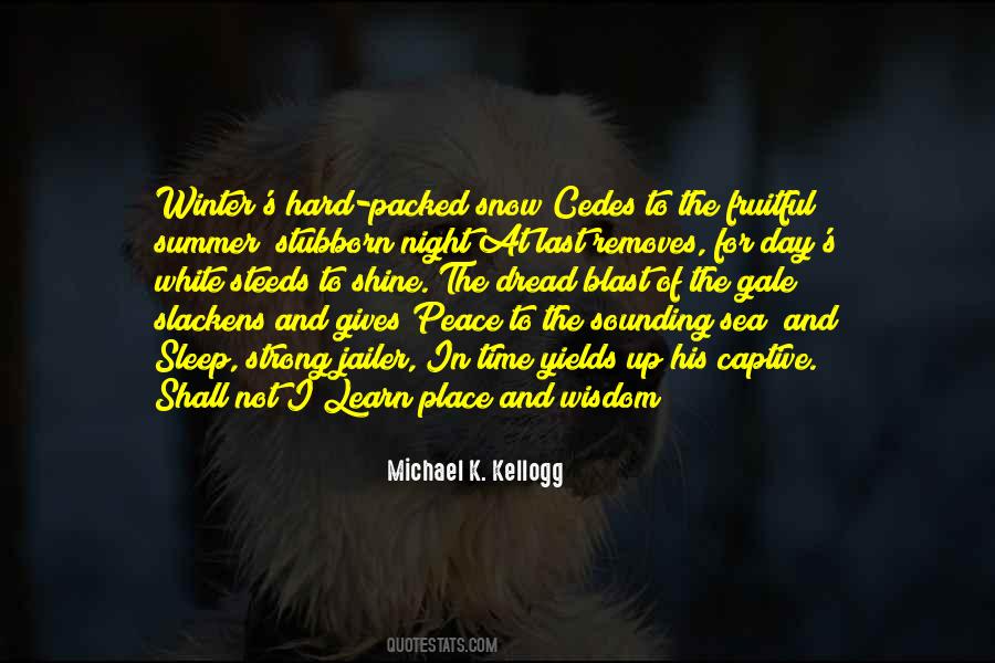 Michael K. Kellogg Quotes #1195748