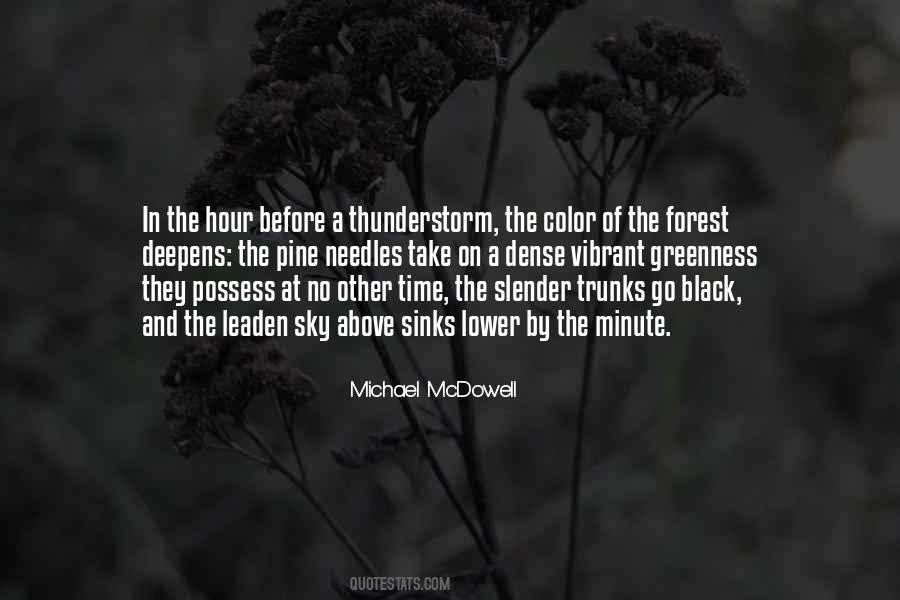 Michael McDowell Quotes #1466149