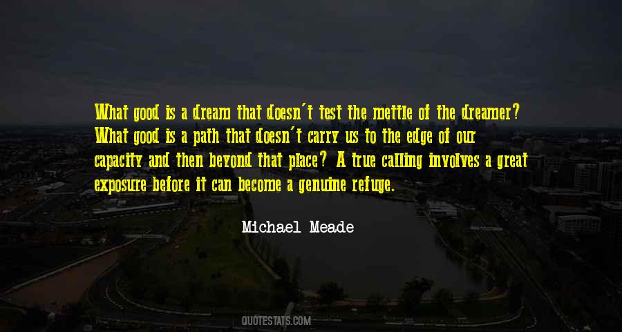 Michael Meade Quotes #1521645