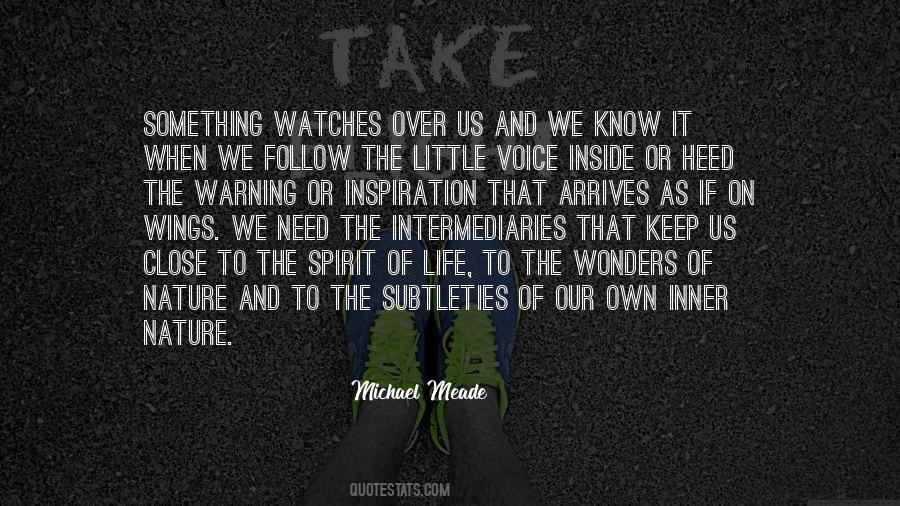 Michael Meade Quotes #511962