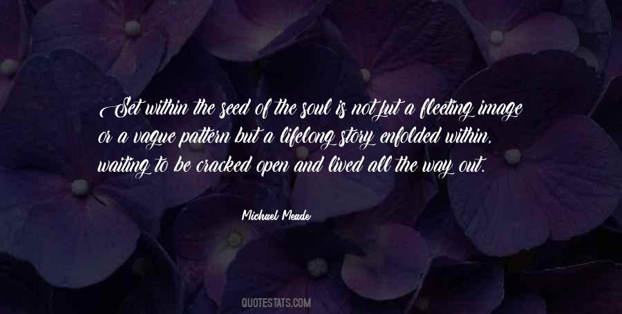 Michael Meade Quotes #619826