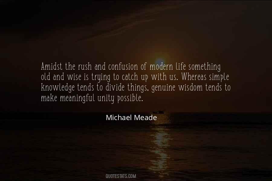 Michael Meade Quotes #846702