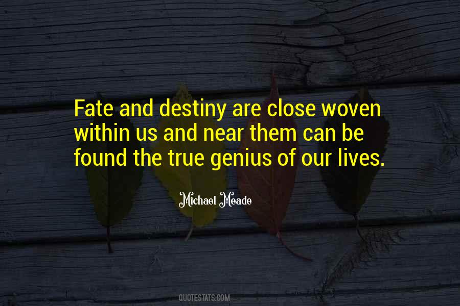 Michael Meade Quotes #912253