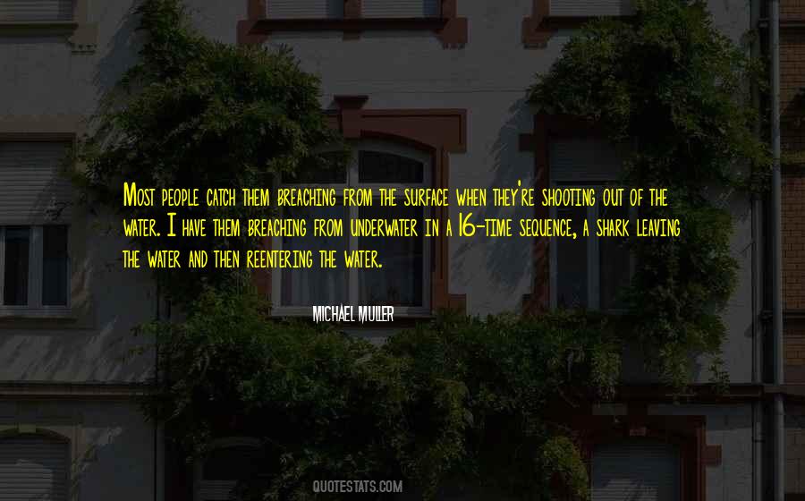Michael Muller Quotes #1204031
