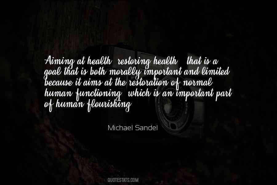 Michael Sandel Quotes #847075