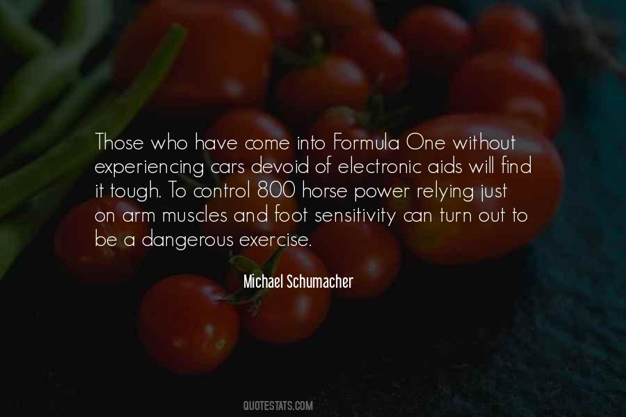 Michael Schumacher Quotes #392017