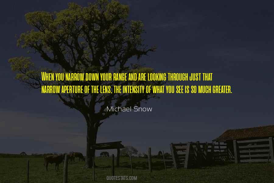 Michael Snow Quotes #863977