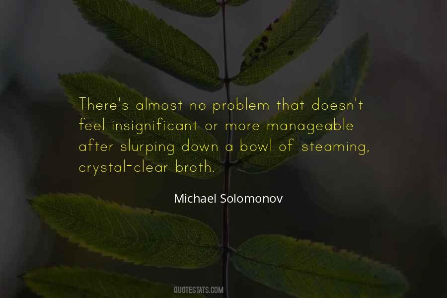 Michael Solomonov Quotes #1748310