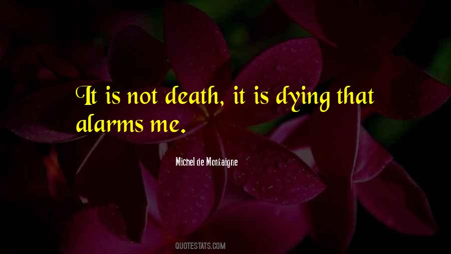 Michel De Montaigne Quotes #1654877