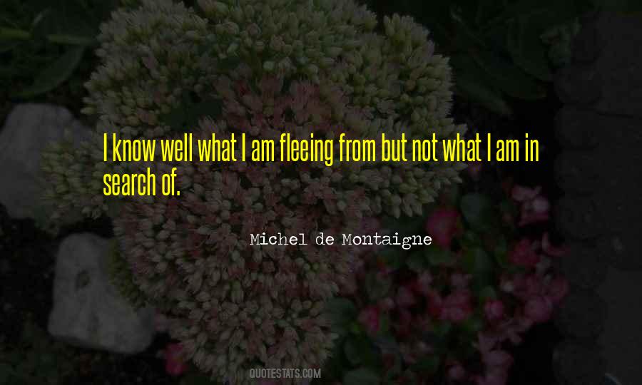 Michel De Montaigne Quotes #1822871