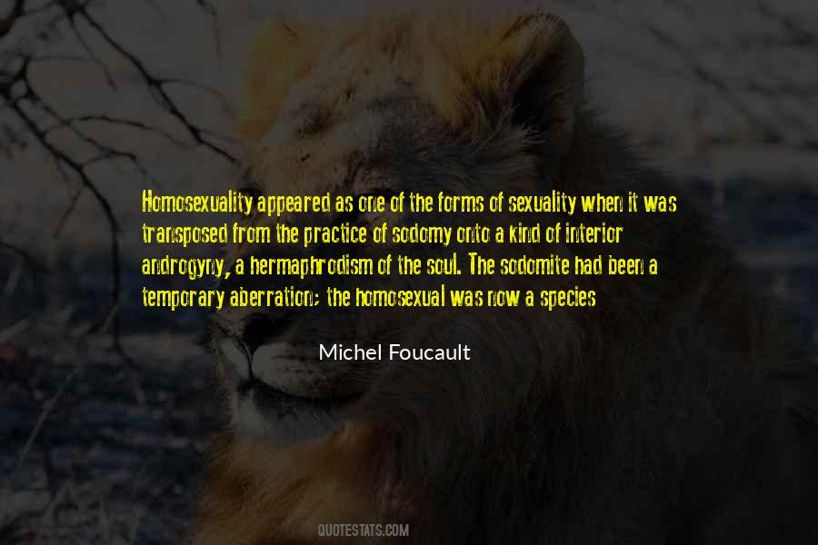 Michel Foucault Quotes #1174439