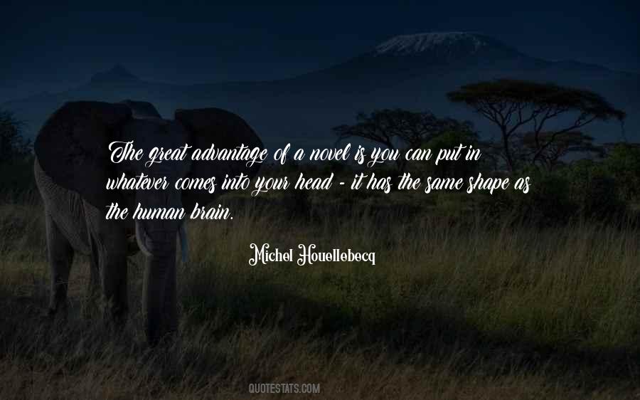 Michel Houellebecq Quotes #179724