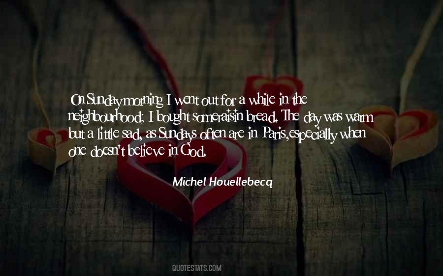 Michel Houellebecq Quotes #1799632