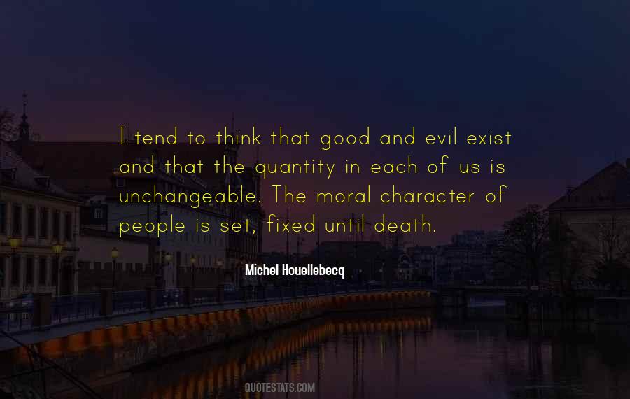 Michel Houellebecq Quotes #631681