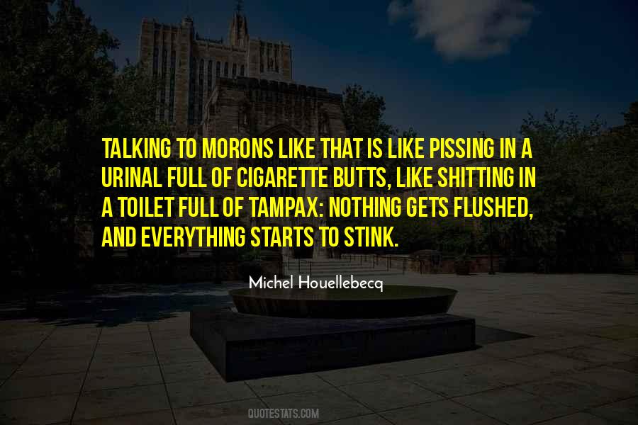 Michel Houellebecq Quotes #793035